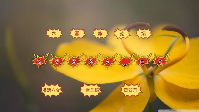 關(guān)于澳門4949開獎免費(fèi)資料的探討——一個涉及違法犯罪的警示文章