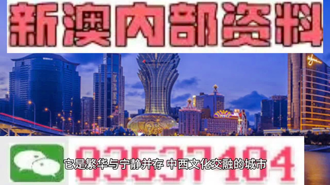 新澳門免費(fèi)資料大全正版閱讀，探索與體驗(yàn)