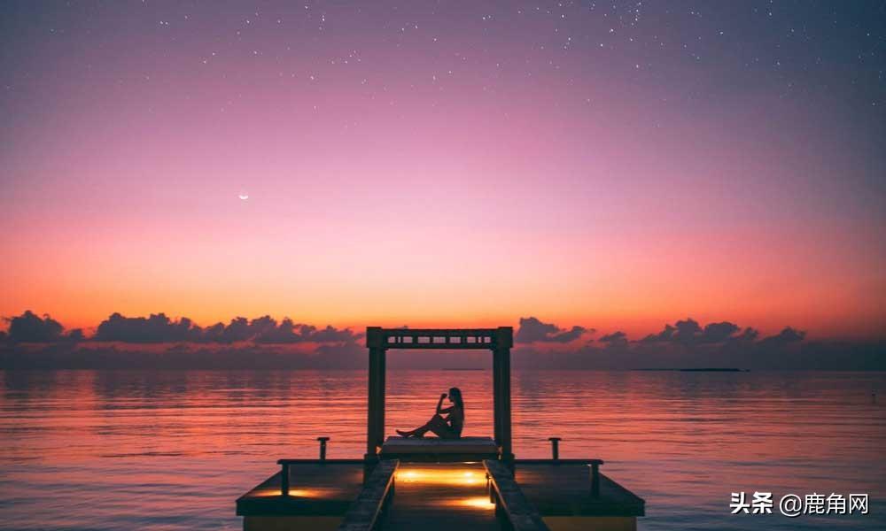 全年資料免費(fèi)大全，探索無(wú)界限的知識(shí)海洋