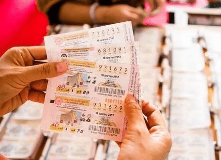 澳門平特一肖，揭秘預(yù)測準(zhǔn)確性的真相