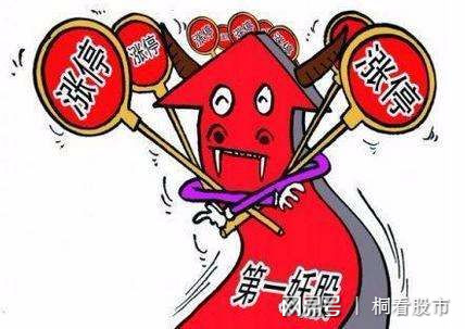 一碼一肖，揭秘生肖預(yù)測背后的真相與風(fēng)險