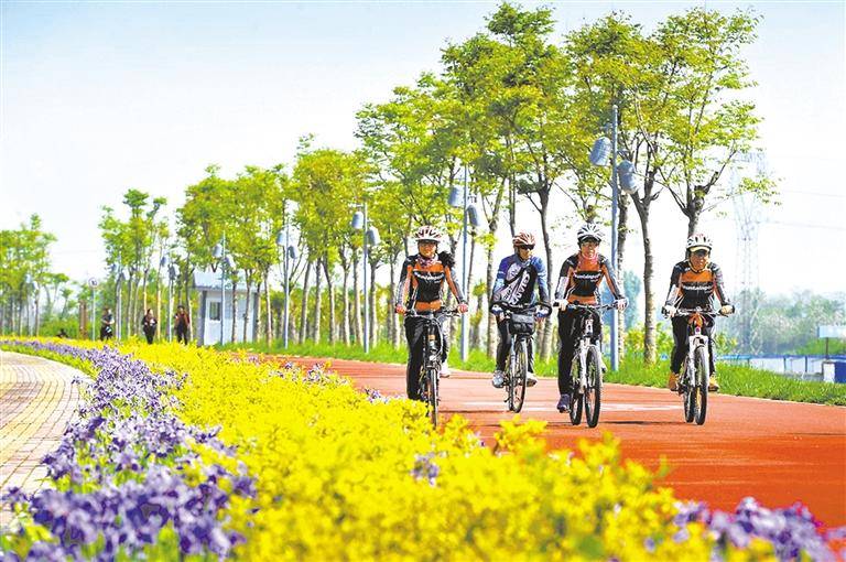 六安市環(huán)保最新消息，邁向綠色發(fā)展的堅定步伐