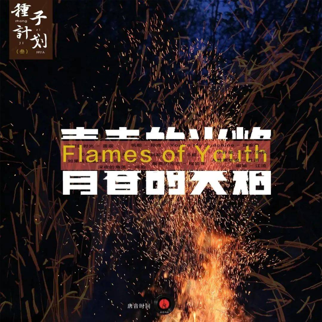 奔跑最新一期英文歌曲，探索音樂(lè)的力量與激情