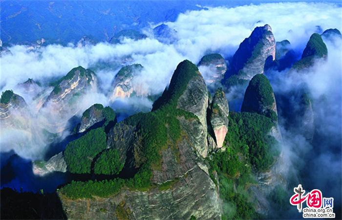 崀山犬木塘庫(kù)最新消息，展現(xiàn)新面貌，引領(lǐng)未來(lái)發(fā)展