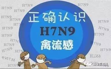 香港H7N9最新消息2017，流感監(jiān)測與防控進(jìn)展